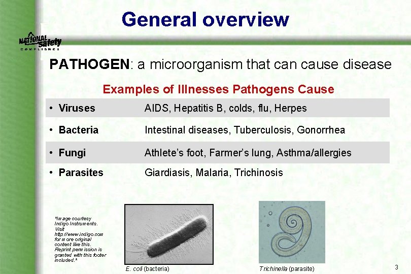 General overview PATHOGEN: a microorganism that can cause disease Examples of Illnesses Pathogens Cause