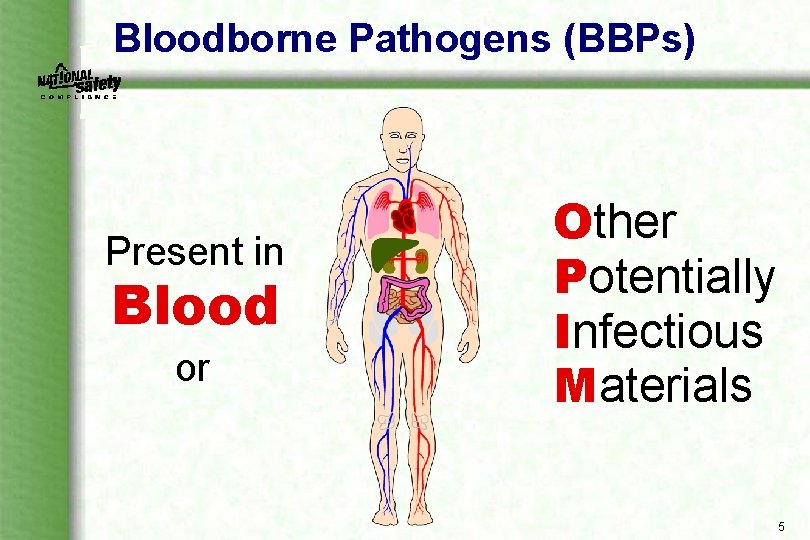 Bloodborne Pathogens (BBPs) Present in Blood or Other Potentially Infectious Materials 5 