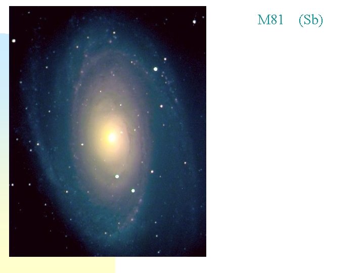 M 81 (Sb) 