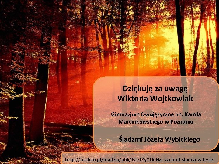 Dziękuję za uwagę Wiktoria Wojtkowiak Gimnazjum Dwujęzyczne im. Karola Marcinkowskiego w Poznaniu Śladami Józefa