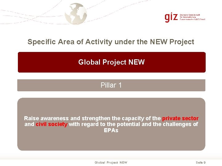 Specific Area of Activity under the NEW Project Global Project NEW Pillar 1 Raise
