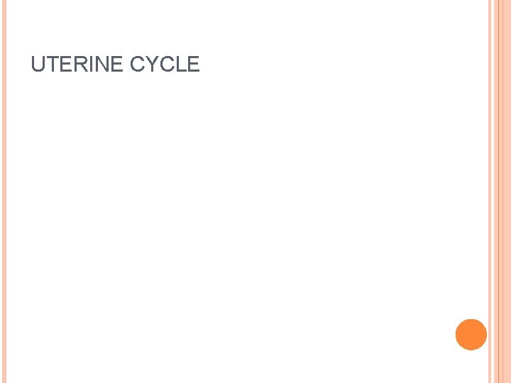 UTERINE CYCLE 