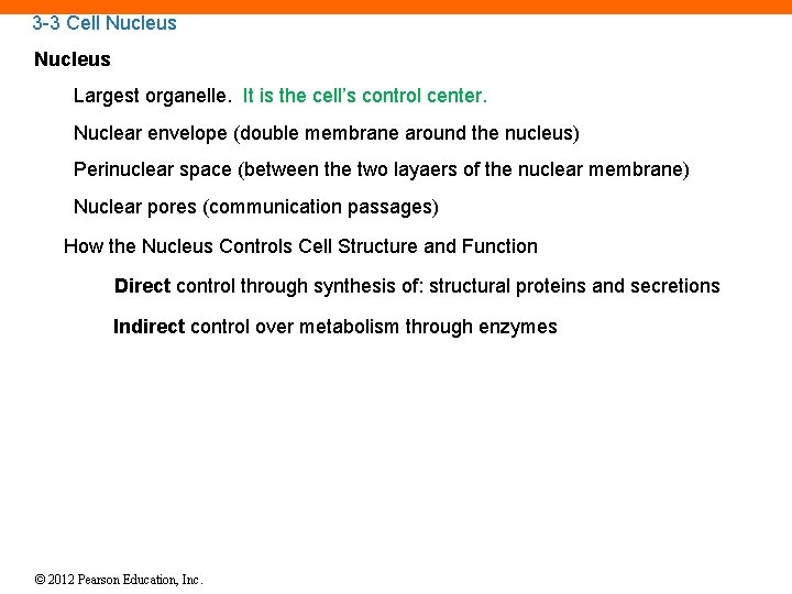 3 -3 Cell Nucleus Largest organelle. It is the cell’s control center. Nuclear envelope