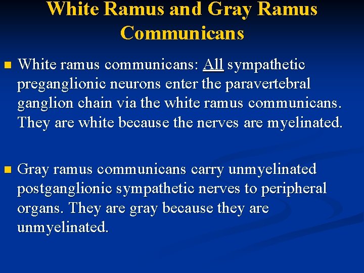 White Ramus and Gray Ramus Communicans n White ramus communicans: All sympathetic preganglionic neurons