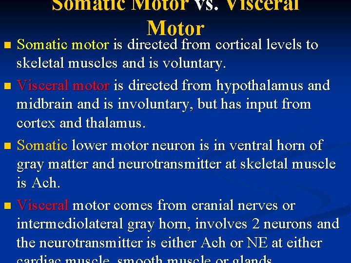 Somatic Motor vs. Visceral Motor Somatic motor is directed from cortical levels to skeletal