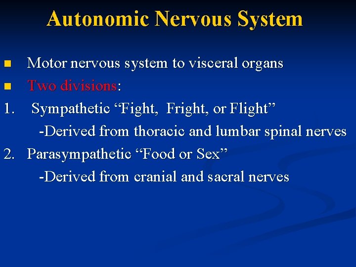 Autonomic Nervous System Motor nervous system to visceral organs n Two divisions: 1. Sympathetic