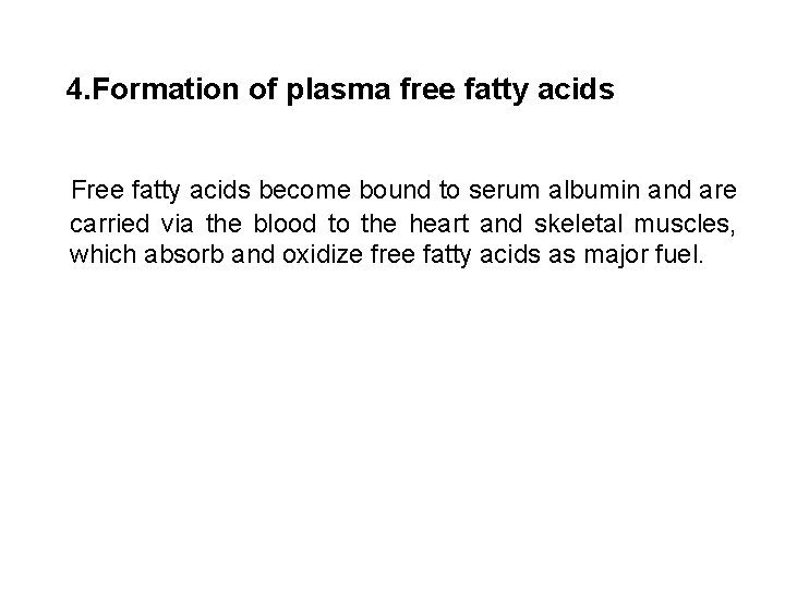 4. Formation of plasma free fatty acids Free fatty acids become bound to serum