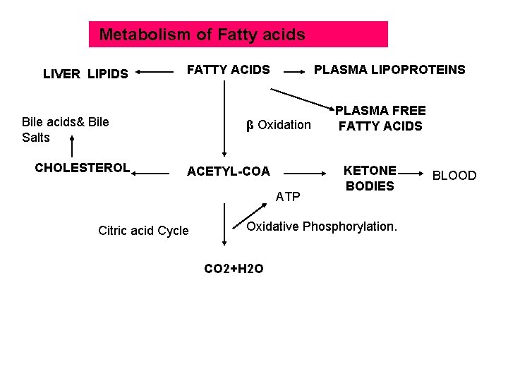 Metabolism of Fatty acids LIVER LIPIDS Bile acids& Bile Salts CHOLESTEROL PLASMA LIPOPROTEINS FATTY