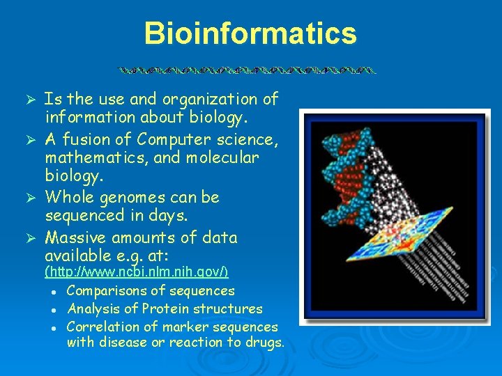 Bioinformatics Ø Ø Is the use and organization of information about biology. A fusion