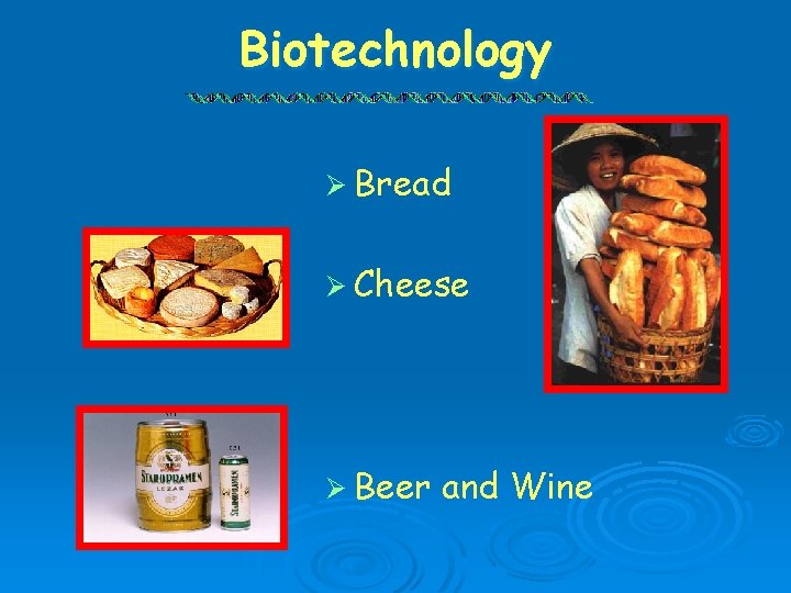 Biotechnology Ø Bread Ø Cheese Ø Beer and Wine 