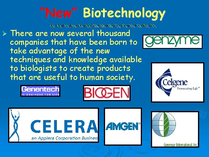 “New” Biotechnology Ø There are now several thousand companies that have been born to