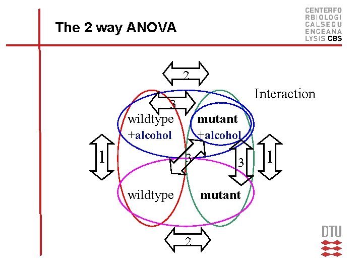 The 2 way ANOVA 2 Interaction 3 wildtype +alcohol 1 mutant +alcohol 3 wildtype