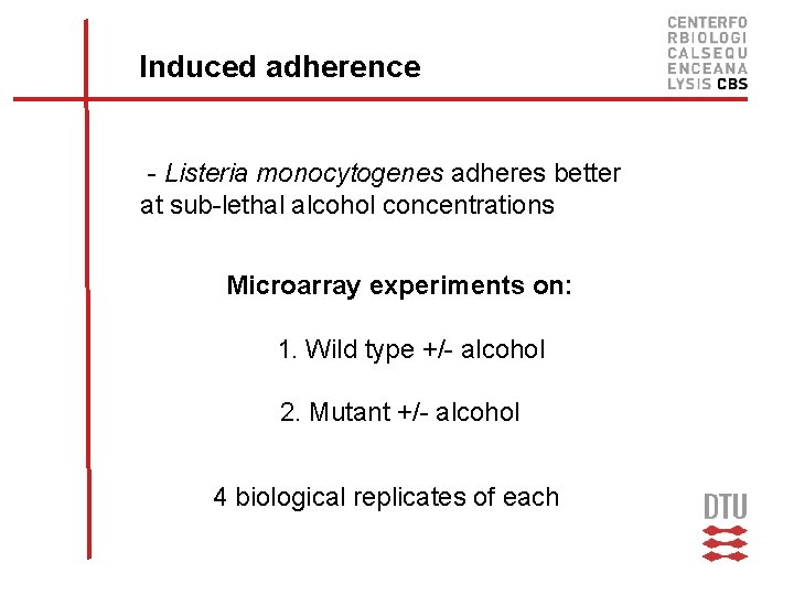 Induced adherence - Listeria monocytogenes adheres better at sub-lethal alcohol concentrations Microarray experiments on: