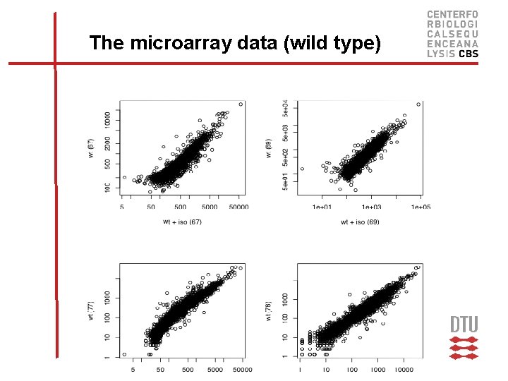 The microarray data (wild type) 