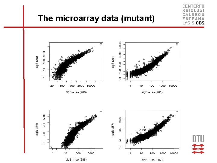The microarray data (mutant) 