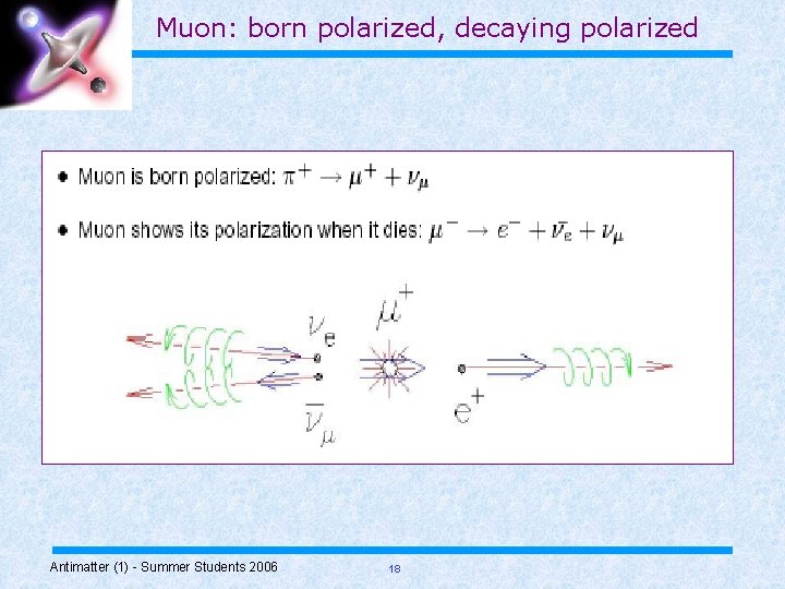 Muon: born polarized, decaying polarized Antimatter (1) - Summer Students 2006 18 