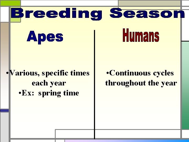  • Various, specific times each year • Ex: spring time • Continuous cycles