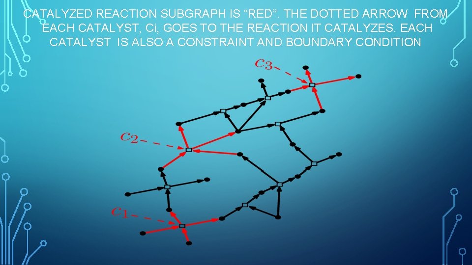 CATALYZED REACTION SUBGRAPH IS “RED”. THE DOTTED ARROW FROM EACH CATALYST, Ci, GOES TO