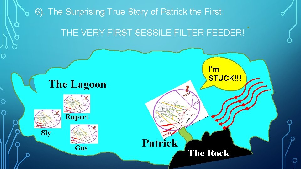 6). The Surprising True Story of Patrick the First: THE VERY FIRST SESSILE FILTER