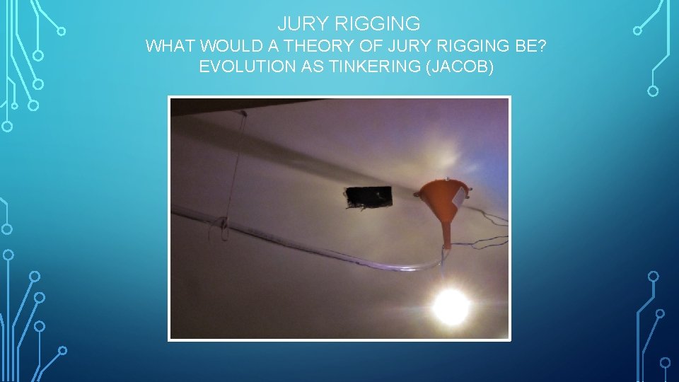  JURY RIGGING WHAT WOULD A THEORY OF JURY RIGGING BE? EVOLUTION AS TINKERING