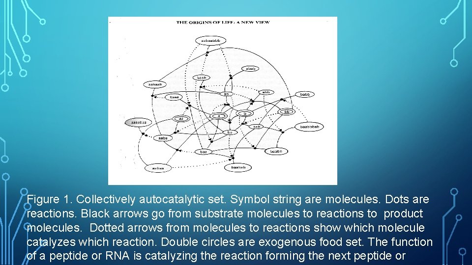 Figure 1. Collectively autocatalytic set. Symbol string are molecules. Dots are reactions. Black arrows