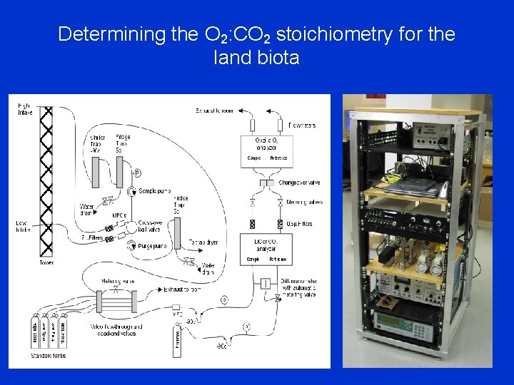 Determining the O 2: CO 2 stoichiometry for the land biota 