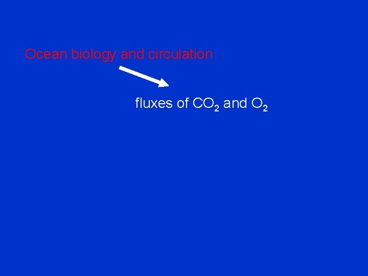 Ocean biology and circulation fluxes of CO 2 and O 2 
