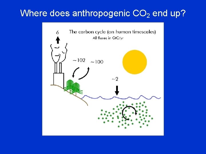 Where does anthropogenic CO 2 end up? 
