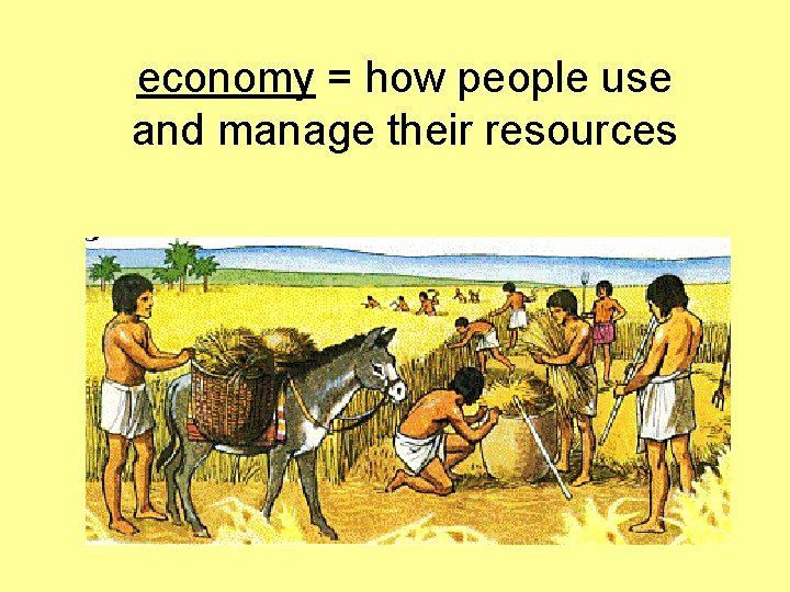 economy = how people use and manage their resources 