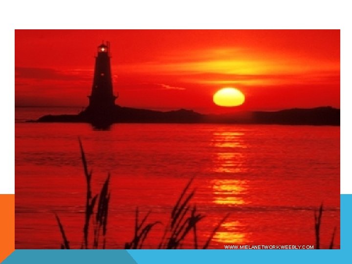 WWW. MIELANETWORK. WEEBLY. COM 