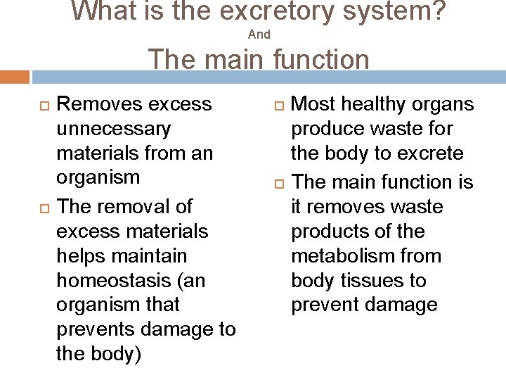 What is the excretory system? And The main function Removes excess unnecessary materials from