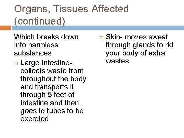 Organs, Tissues Affected (continued) Which breaks down into harmless substances Large Intestinecollects waste from