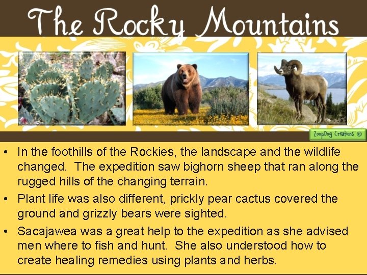  • In the foothills of the Rockies, the landscape and the wildlife changed.
