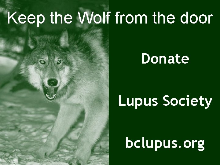 Keep the Wolf from the door Donate Lupus Society bclupus. org 