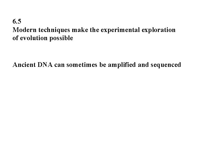 6. 5 Modern techniques make the experimental exploration of evolution possible Ancient DNA can