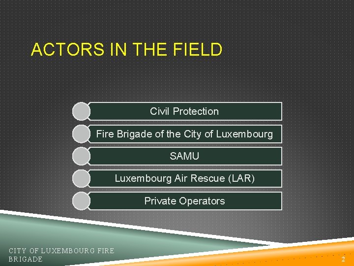 ACTORS IN THE FIELD Civil Protection Fire Brigade of the City of Luxembourg SAMU