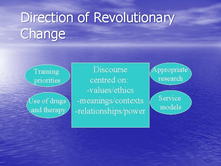 Direction of Revolutionary Change Training priorities Use of drugs and therapy Appropriate Discourse research