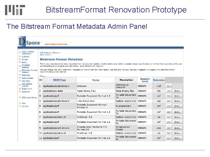 Bitstream. Format Renovation Prototype The Bitstream Format Metadata Admin Panel 