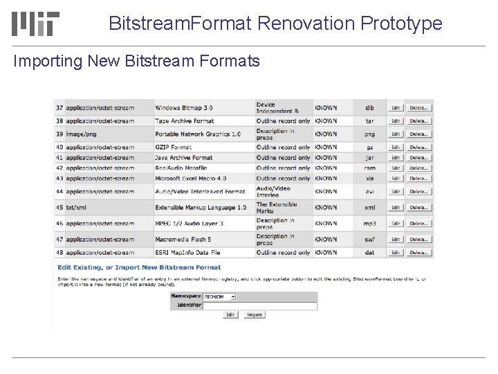 Bitstream. Format Renovation Prototype Importing New Bitstream Formats 