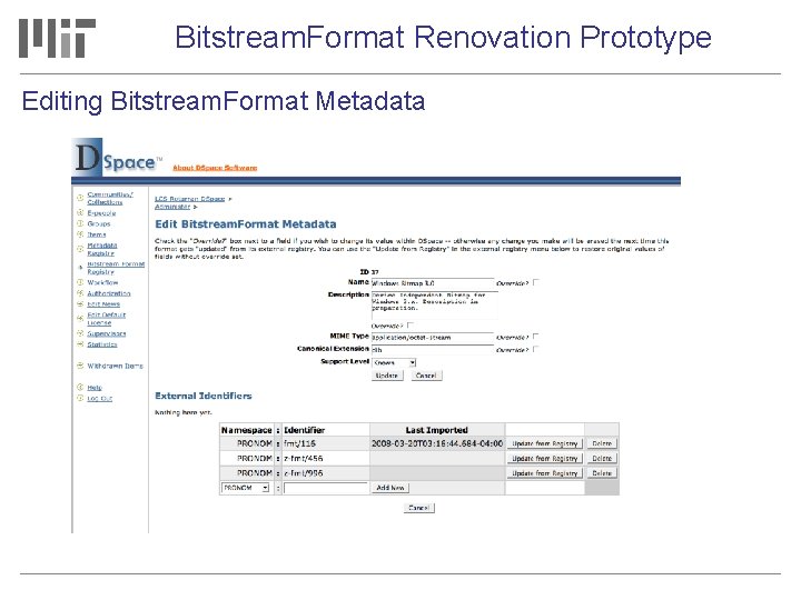 Bitstream. Format Renovation Prototype Editing Bitstream. Format Metadata 