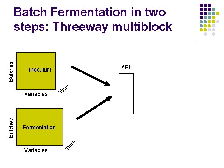 API Inoculum Ti Variables m e Fermentation Ti Batches Variables m e Batches Batch