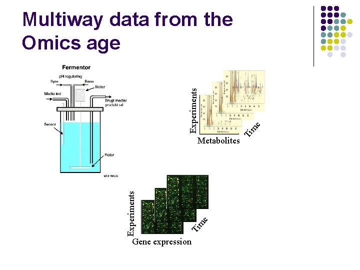 m e Ti Experiments Metabolites Gene expression e m Ti Experiments Multiway data from
