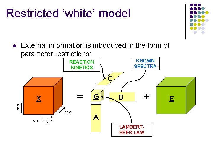Restricted ‘white’ model l External information is introduced in the form of parameter restrictions: