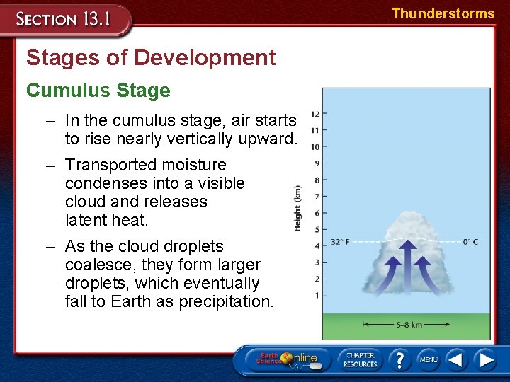 Thunderstorms Stages of Development Cumulus Stage – In the cumulus stage, air starts to