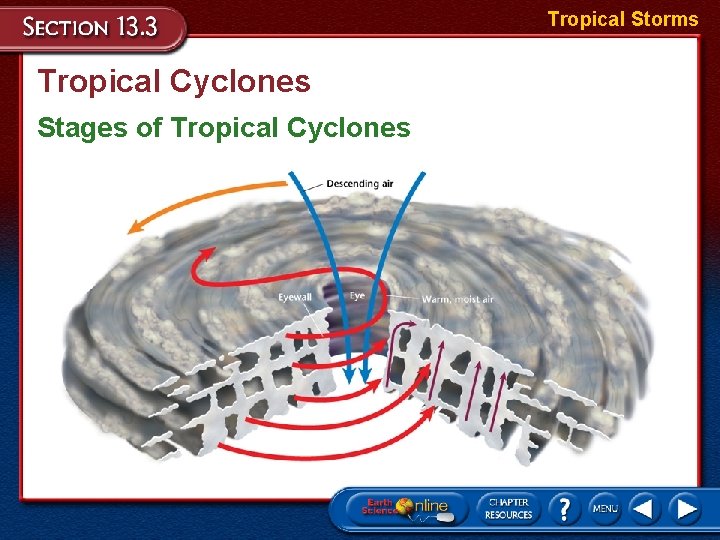 Tropical Storms Tropical Cyclones Stages of Tropical Cyclones 