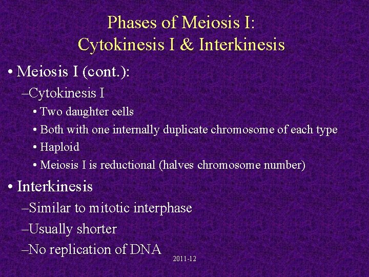 Phases of Meiosis I: Cytokinesis I & Interkinesis • Meiosis I (cont. ): –Cytokinesis