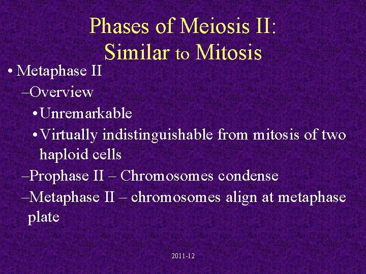 Phases of Meiosis II: Similar to Mitosis • Metaphase II –Overview • Unremarkable •