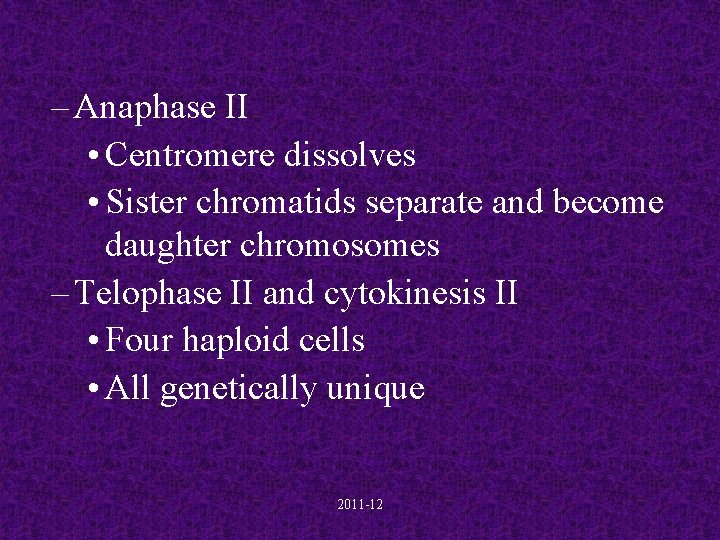 – Anaphase II • Centromere dissolves • Sister chromatids separate and become daughter chromosomes