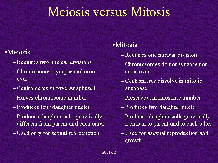 Meiosis versus Mitosis • Mitosis • Meiosis – Requires one nuclear division – Requires