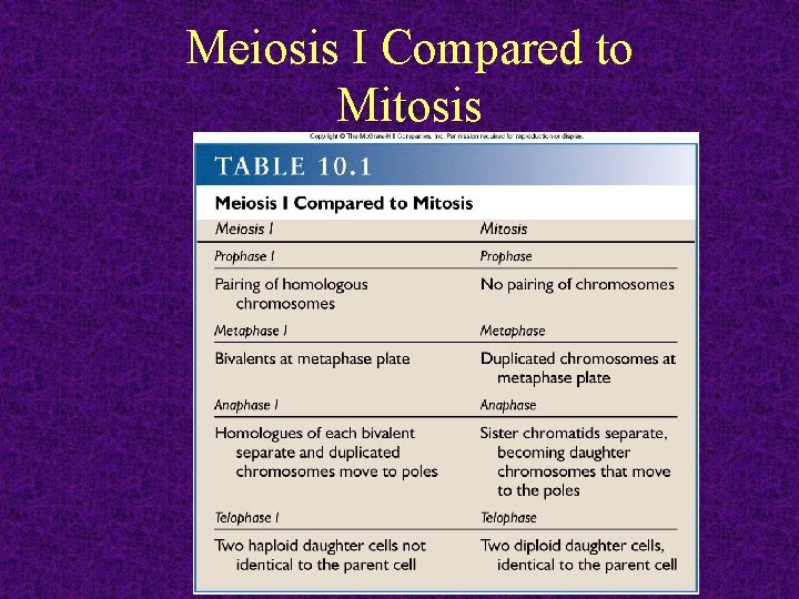 Meiosis I Compared to Mitosis 2011 -12 